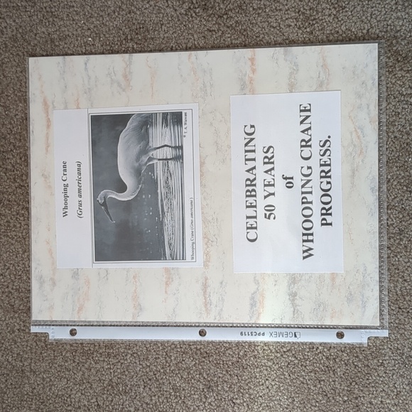 Endangered Birds Stamp Collection Sheet - Picture 7 of 8